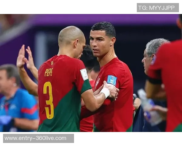 2016年葡萄牙与瑞士精彩对决回顾与分析