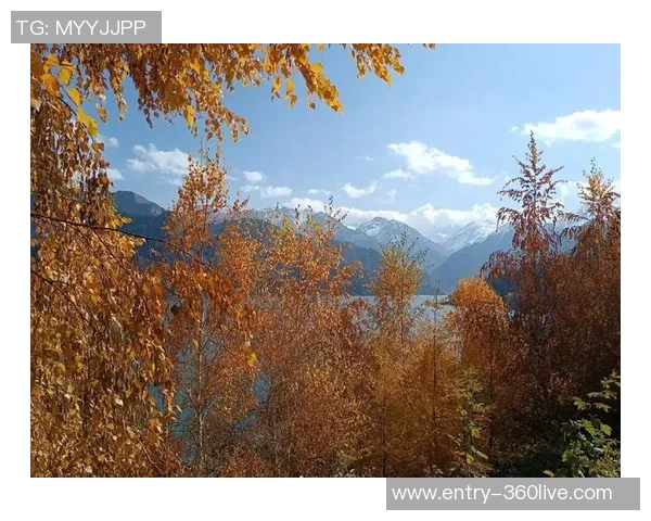 新疆天山与黑龙江的自然风光与文化魅力深度对比探讨