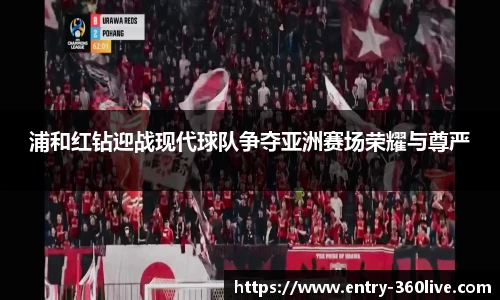 360高清直播