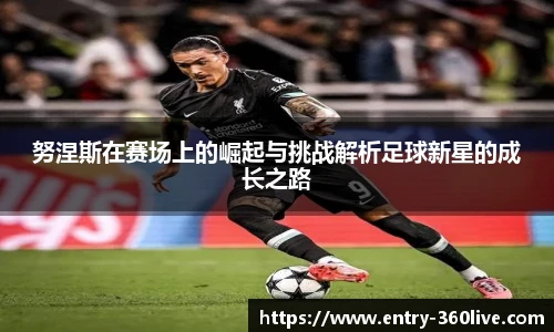 努涅斯在赛场上的崛起与挑战解析足球新星的成长之路